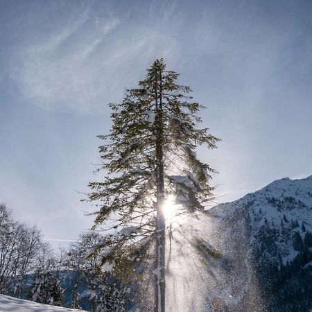 Silber Lodge Im Wiesenstein アウフファッハ エクステリア 写真
