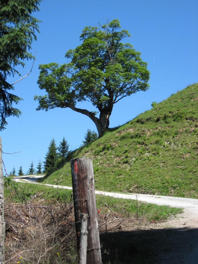 Silber Lodge Im Wiesenstein アウフファッハ エクステリア 写真