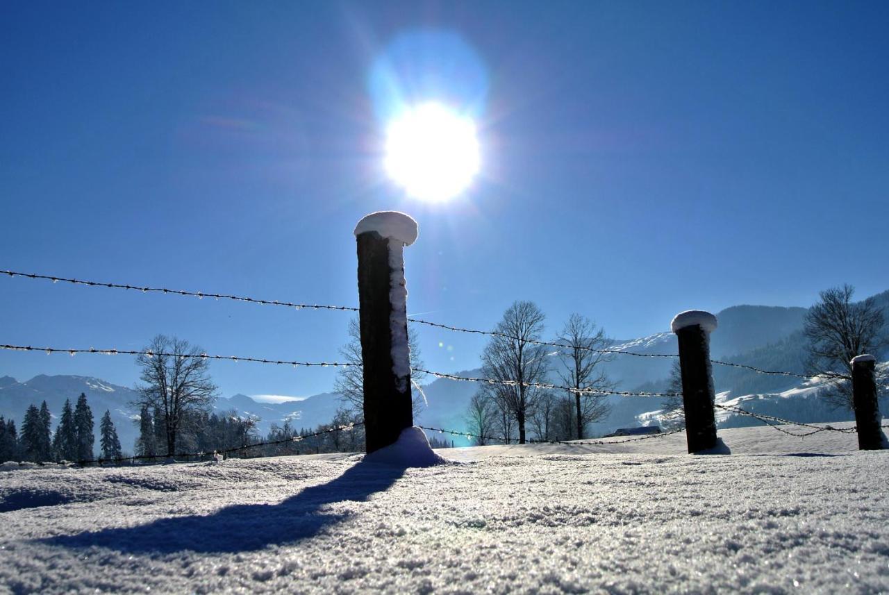 Silber Lodge Im Wiesenstein アウフファッハ エクステリア 写真