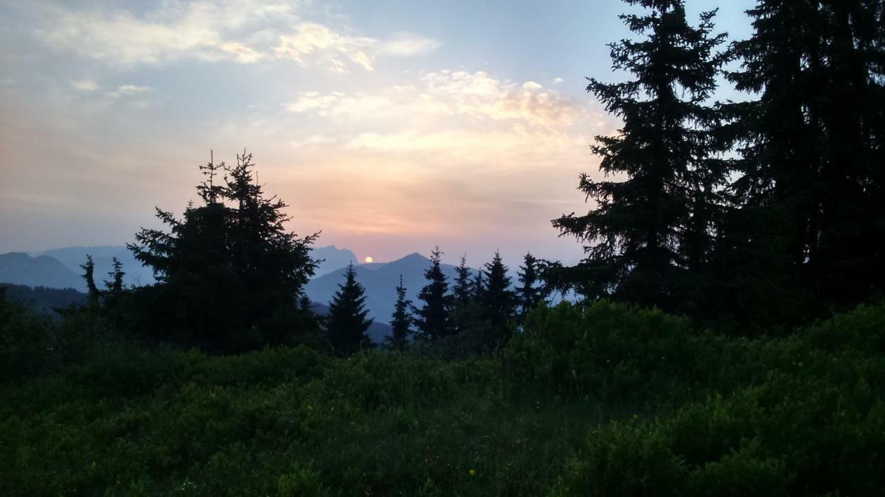Silber Lodge Im Wiesenstein アウフファッハ エクステリア 写真